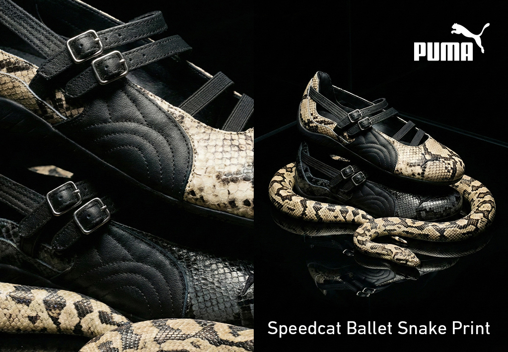 Speedcat-Ballet-Snake-hp-mob
