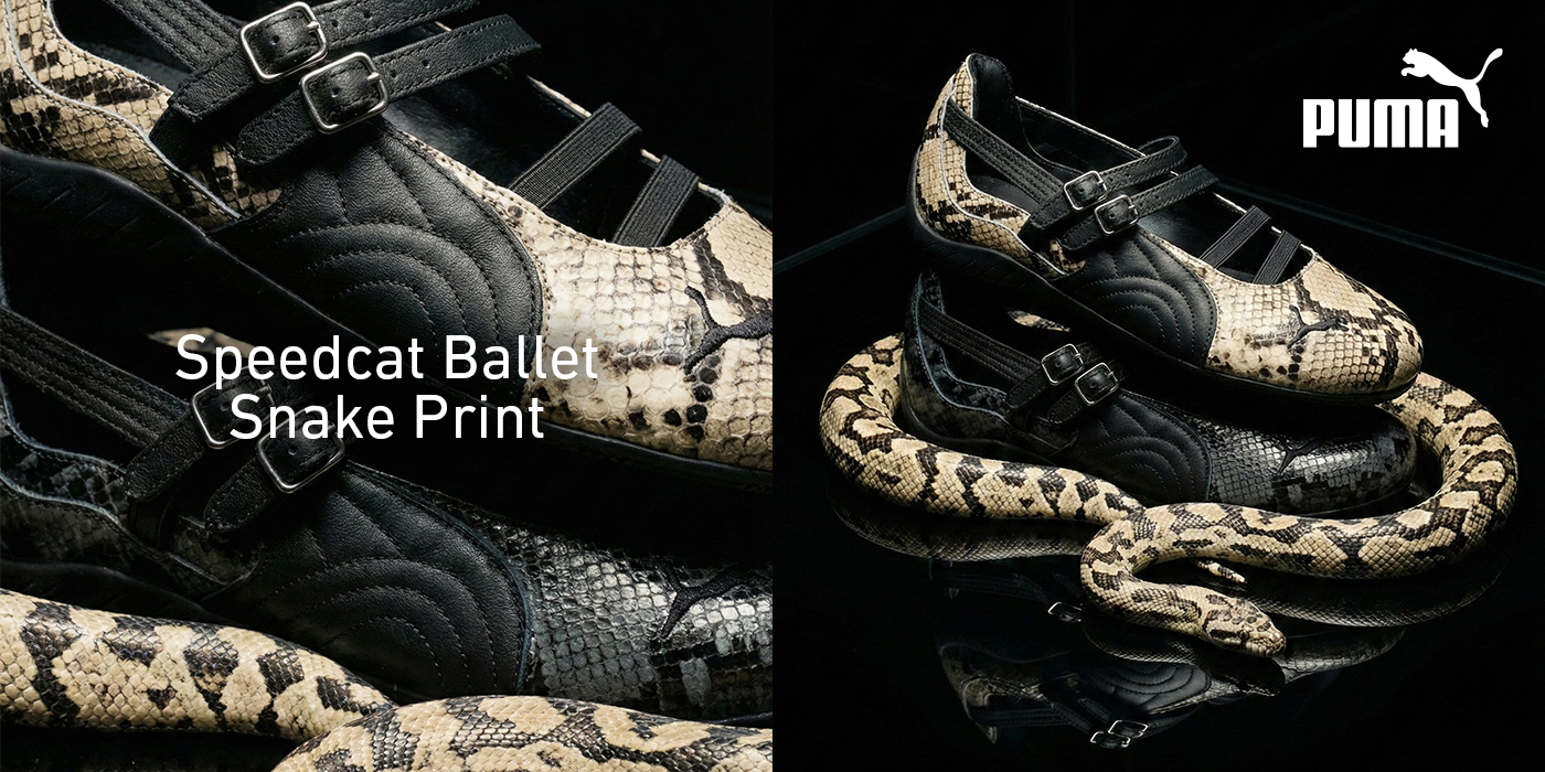 Speedcat-Ballet-Snake-hp